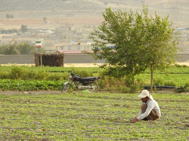 از معادن موجود در روستاها خدمات و عوارضی عاید روستاییان نمی شود