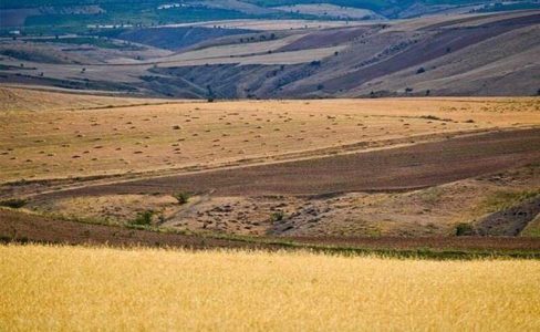 ۱۵ هزار کشاورز مازندران در طرح جهش تولید دیمزارها فعال هستند - خبرگزاری مهر | اخبار ایران و جهان