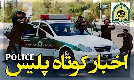 کامیون حامل گازوئیل فاقد مجوز توقیف شد / کشف ۲۳۳۱ مواد محترقه در یکی از محلات شیراز