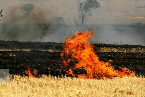 شناسایی ۲۶۰ نقطه بحرانی و نیمه‌بحرانی حریق در منابع طبیعی کرمانشاه/ آماده‌باش ۳۳۰ دیده‌بان