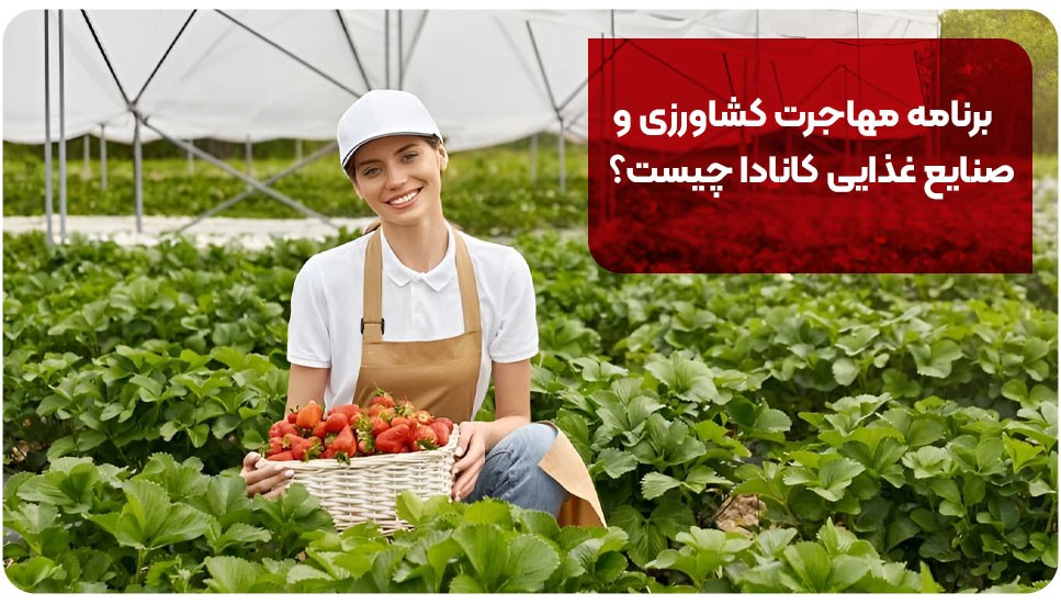 برنامه مهاجرت کشاورزی و صنایع غذایی کانادا چیست؟