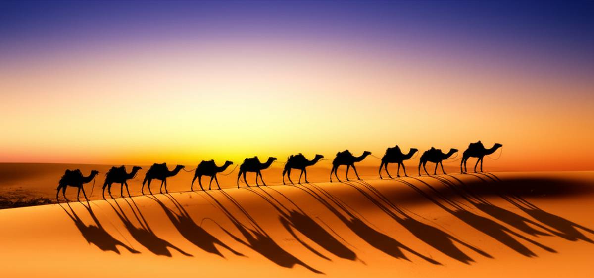 خلاصه کامل کتاب مونی و کاروان هایش اثر پیتر ترسن